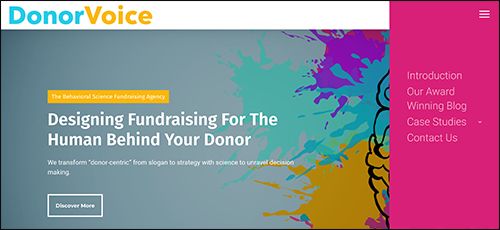 Explore Donor Voice's political campaign software.
